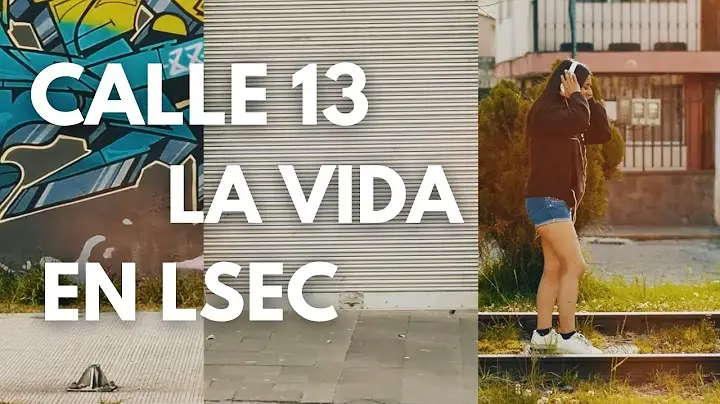 La Vida - Calle 13